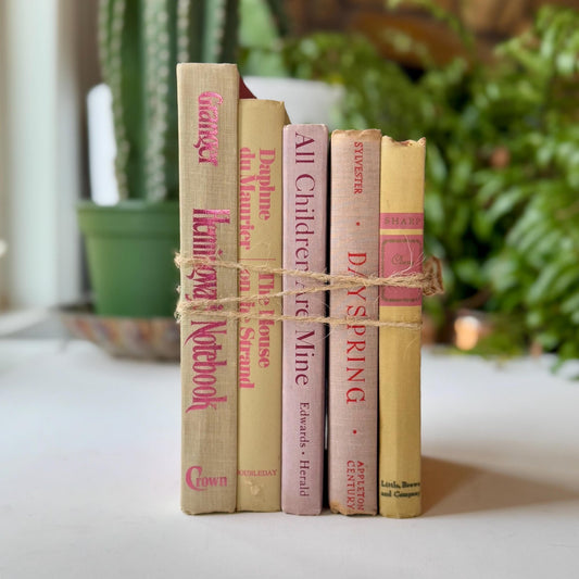 Vintage Decorative Pink and Purple Book Set for Shelf Styling - Pretty Old Books