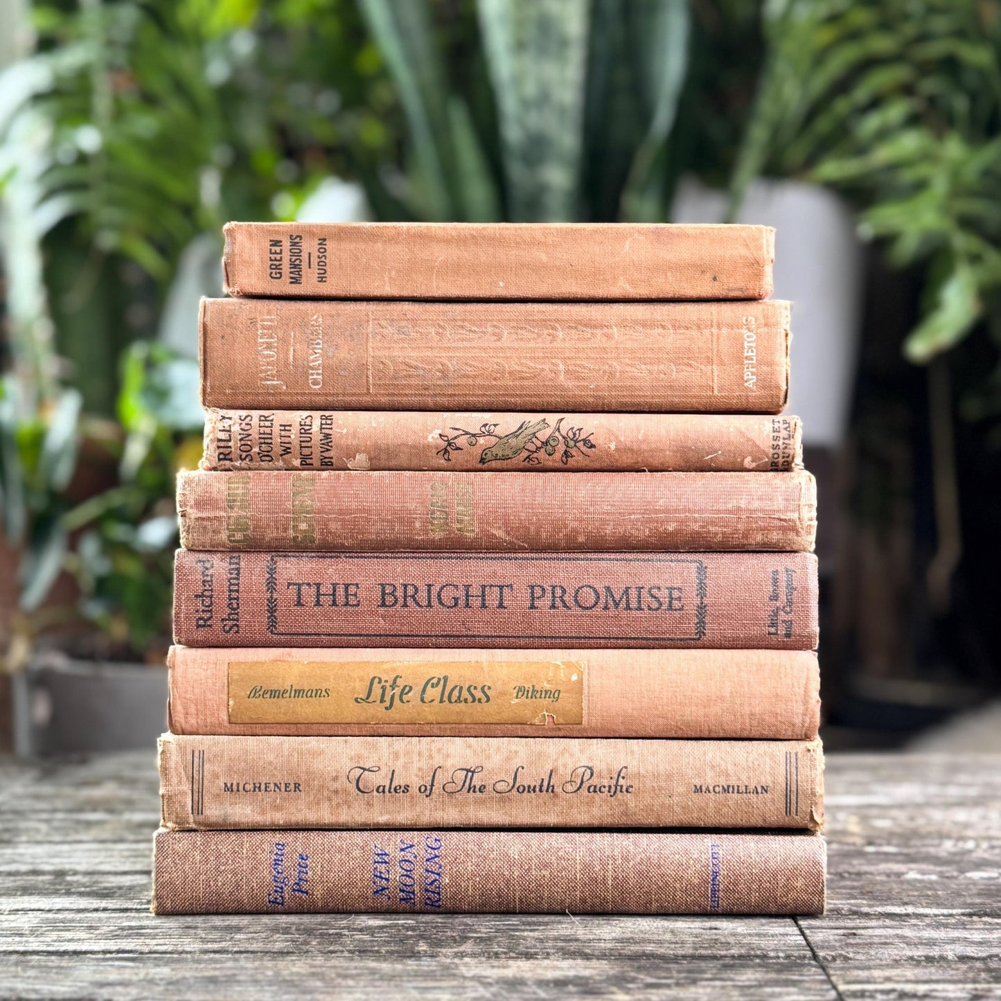 Vintage Earth - Toned Book Set in Neutral Brown, Copper, Tan, Beige - Pretty Old Books