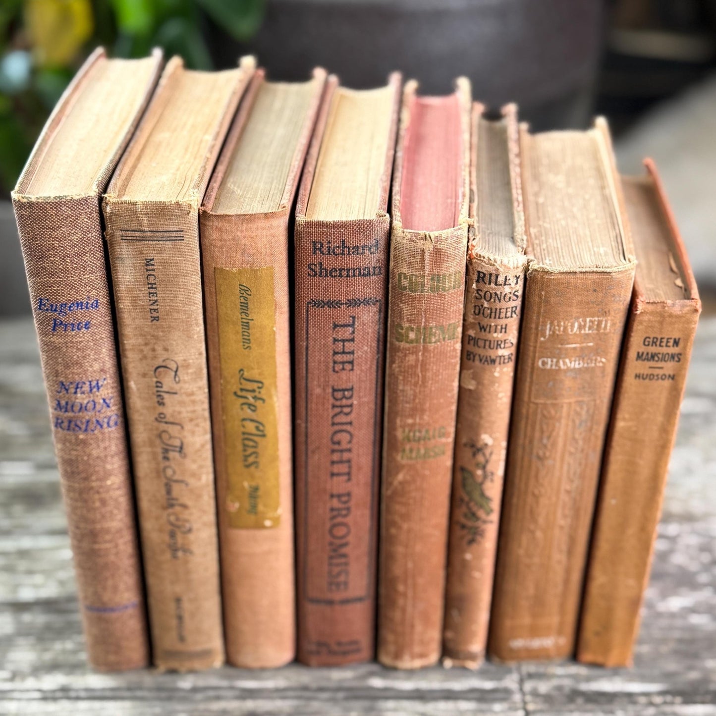 Vintage Earth - Toned Book Set in Neutral Brown, Copper, Tan, Beige - Pretty Old Books