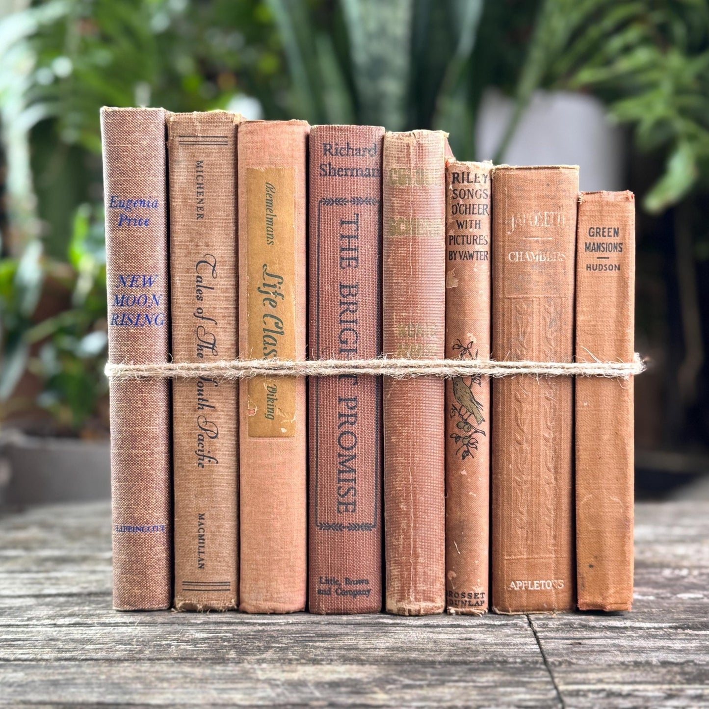 Vintage Earth - Toned Book Set in Neutral Brown, Copper, Tan, Beige - Pretty Old Books