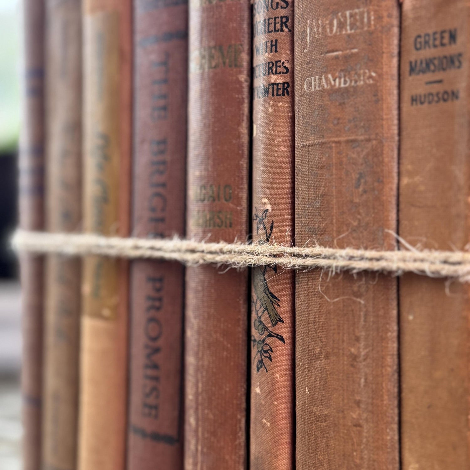 Vintage Earth - Toned Book Set in Neutral Brown, Copper, Tan, Beige - Pretty Old Books