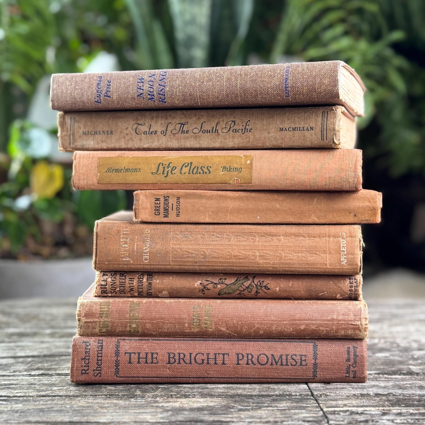 Vintage Earth - Toned Book Set in Neutral Brown, Copper, Tan, Beige - Pretty Old Books