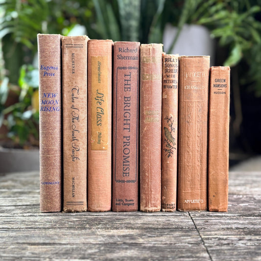 Vintage Earth - Toned Book Set in Neutral Brown, Copper, Tan, Beige - Pretty Old Books