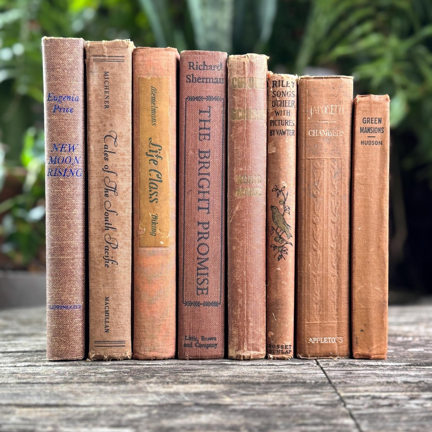 Vintage Earth - Toned Book Set in Neutral Brown, Copper, Tan, Beige - Pretty Old Books