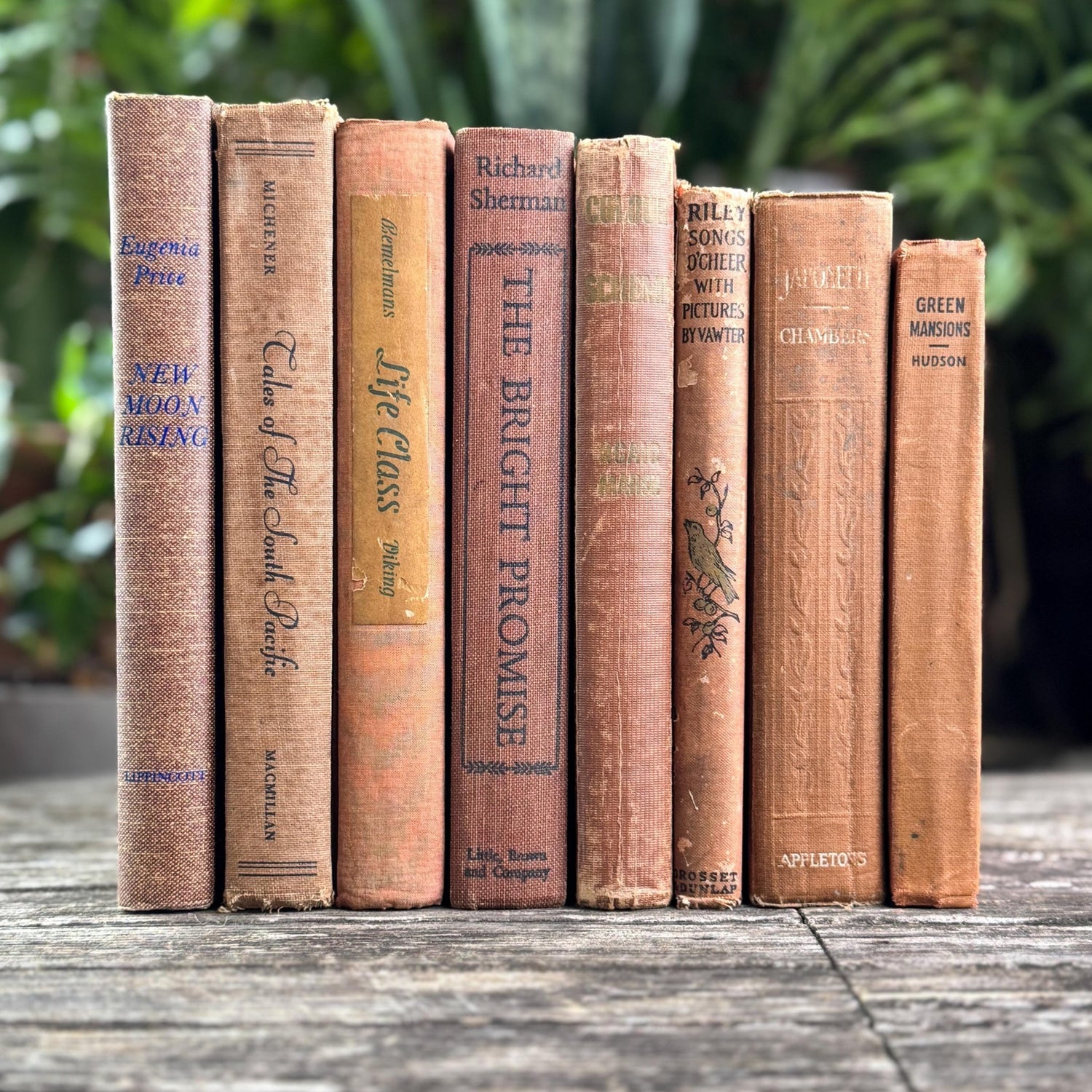 Vintage Earth - Toned Book Set in Neutral Brown, Copper, Tan, Beige - Pretty Old Books