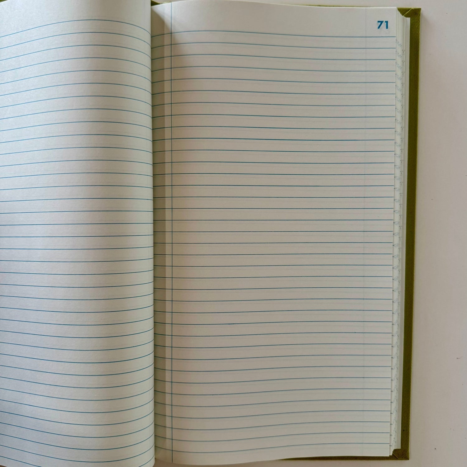 Vintage Federal Supply Service Record Book, 13 x 7.5 Inches, 300 pages - Pretty Old Books