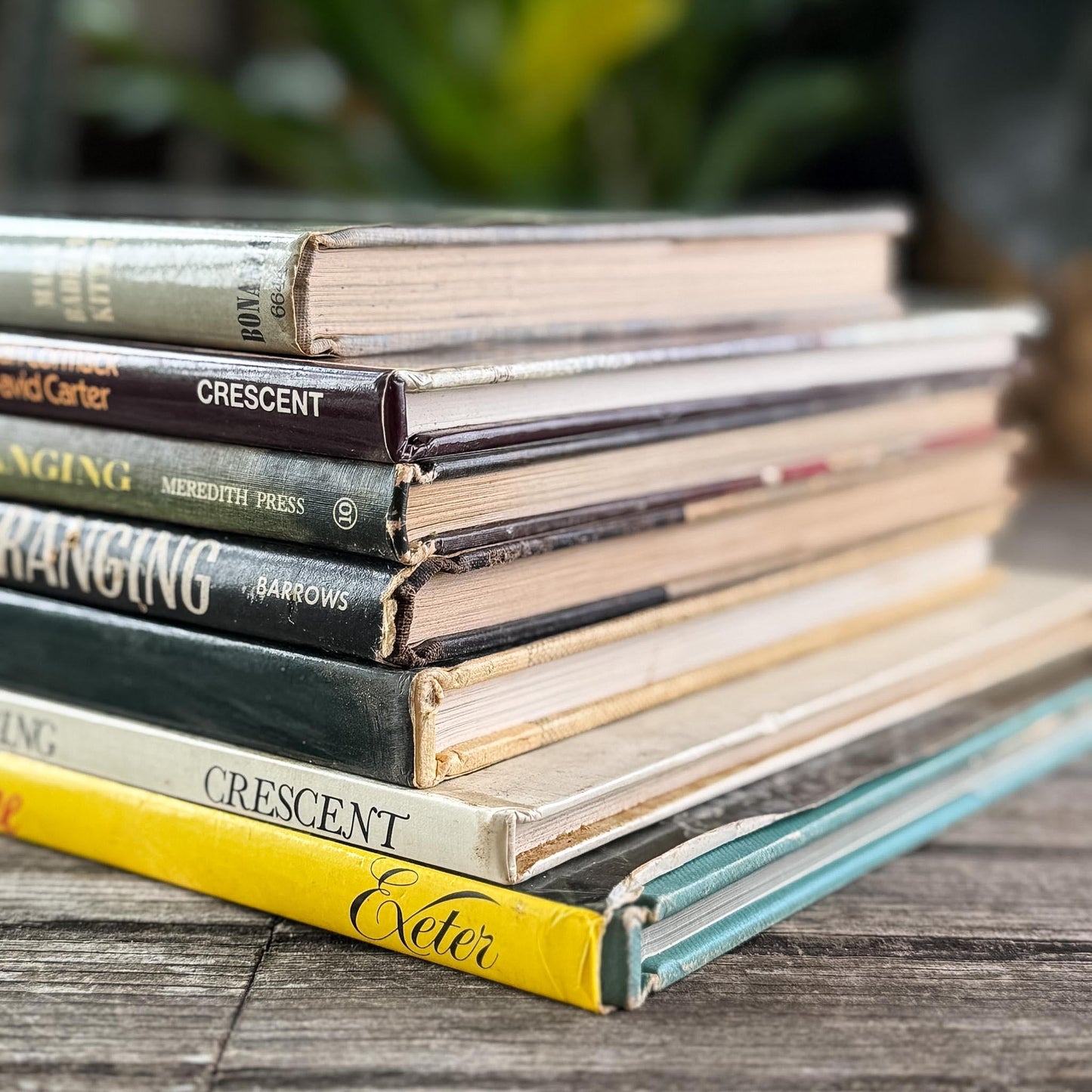 Vintage Flower Arranging Coffee Table Book Bundle for Shelf Styling - Pretty Old Books