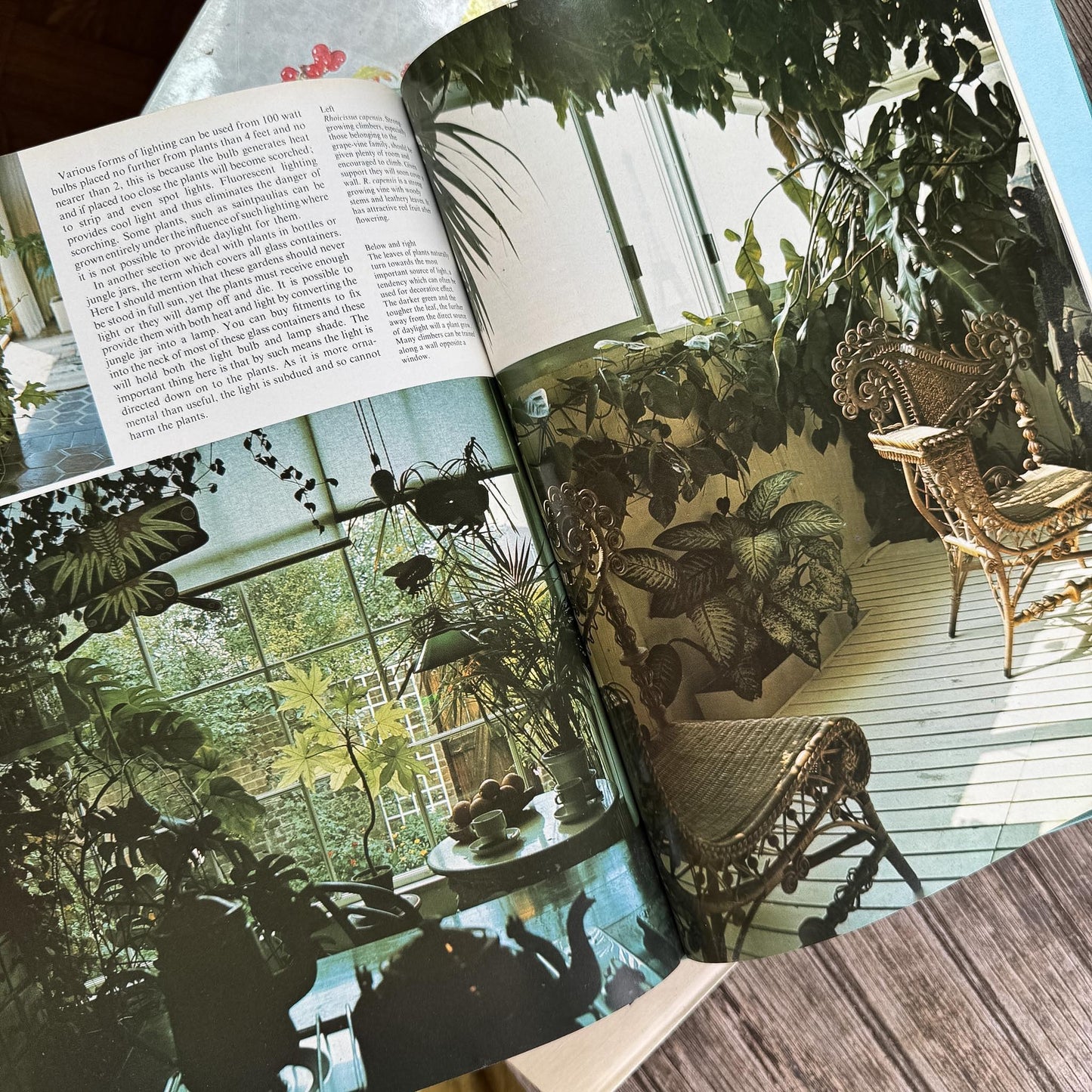 Vintage Flower Arranging Coffee Table Book Bundle for Shelf Styling - Pretty Old Books