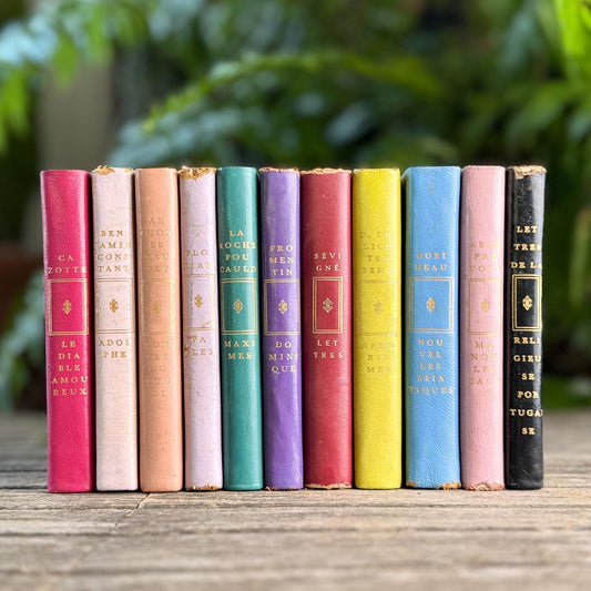 Vintage French Classics Book Set of 11 Jewel-Tone Leather Volumes from Le Club Français du Livre - Pretty Old Books