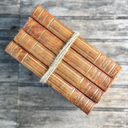 Vintage French Leather Book Set in Cognac Brown with Art Deco Gilt Spines - Pretty Old Books