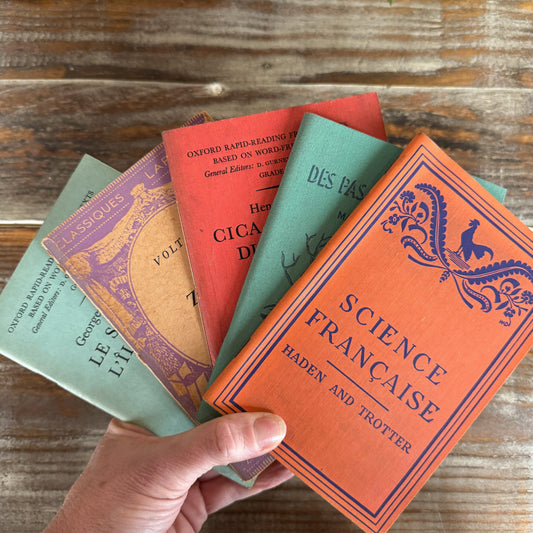 Vintage French Paperbacks, Colorful Midcentury French Study Texts - Pretty Old Books