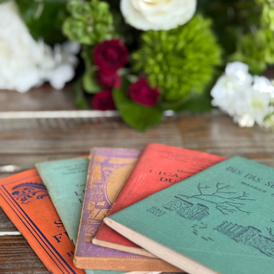 Vintage French Paperbacks, Colorful Midcentury French Study Texts - Pretty Old Books