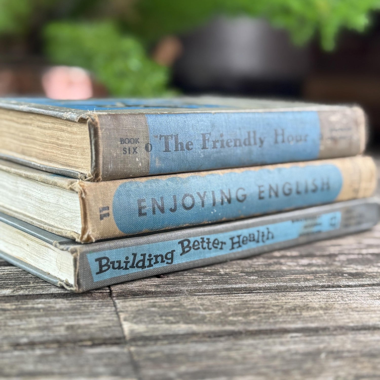 Vintage Fun Blue and Gray School Book Bundle - Pretty Old Books