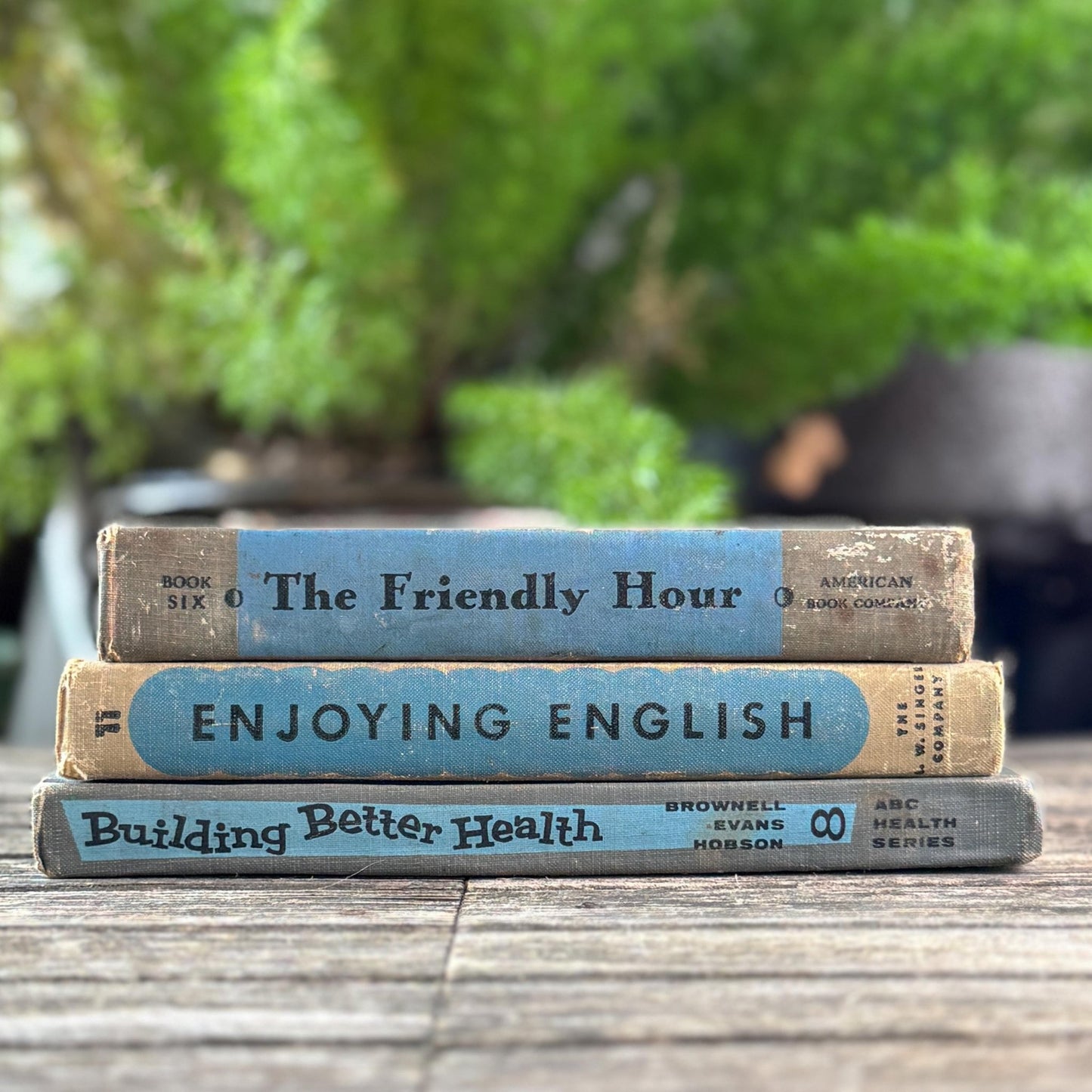 Vintage Fun Blue and Gray School Book Bundle - Pretty Old Books
