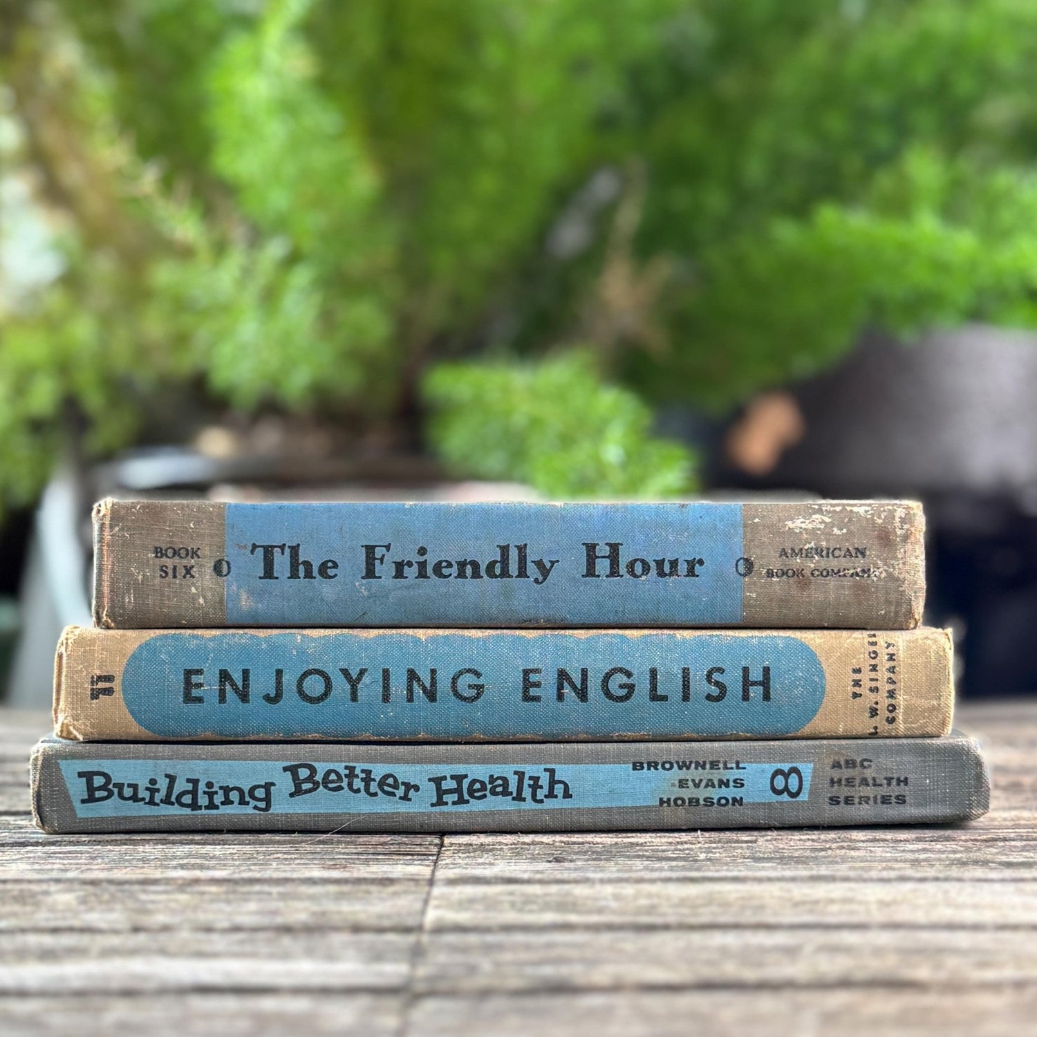 Vintage Fun Blue and Gray School Book Bundle - Pretty Old Books