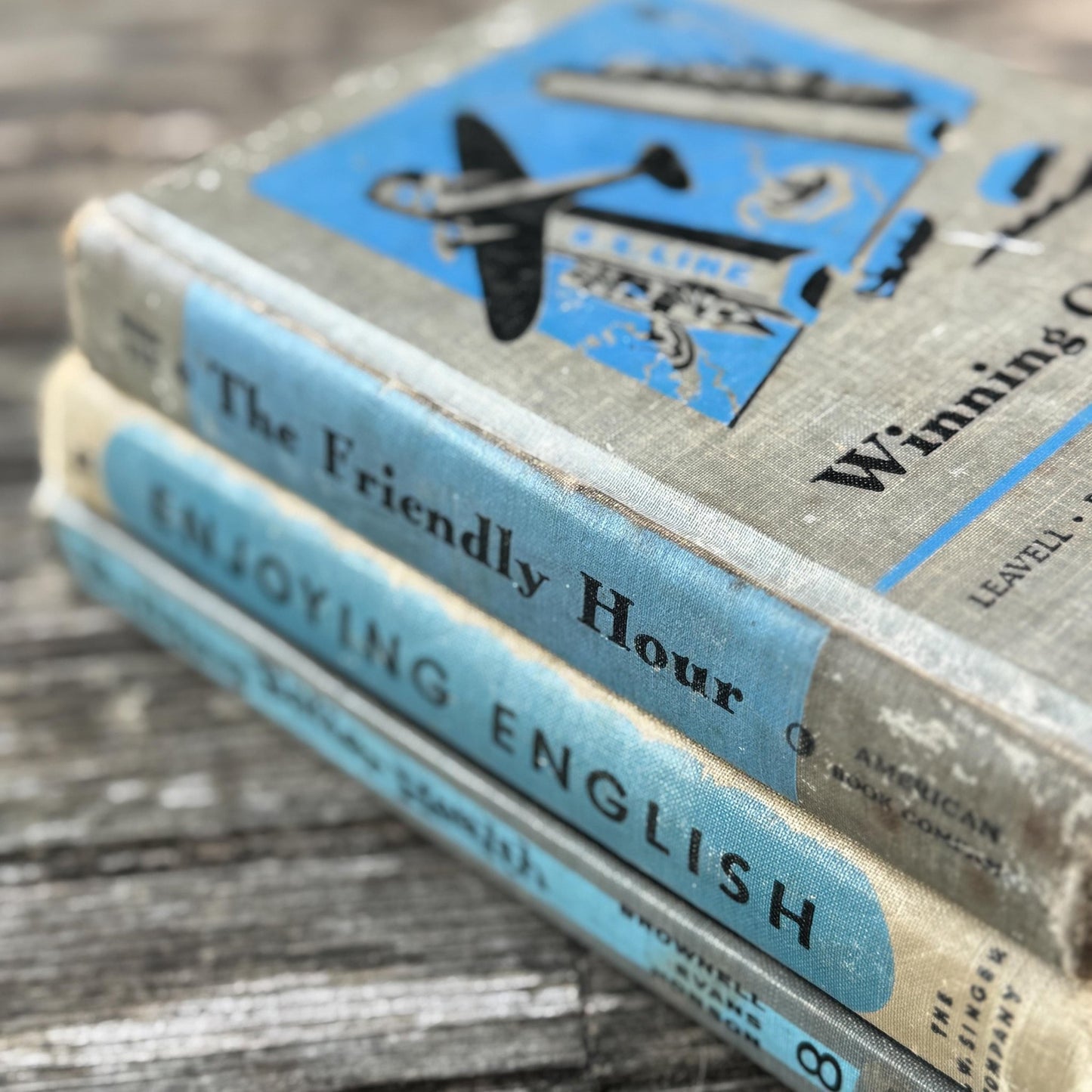Vintage Fun Blue and Gray School Book Bundle - Pretty Old Books