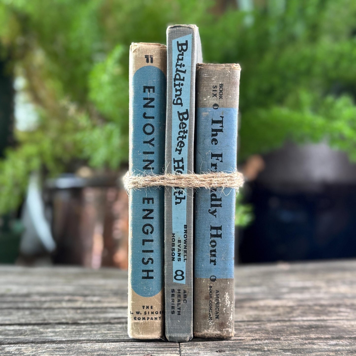 Vintage Fun Blue and Gray School Book Bundle - Pretty Old Books