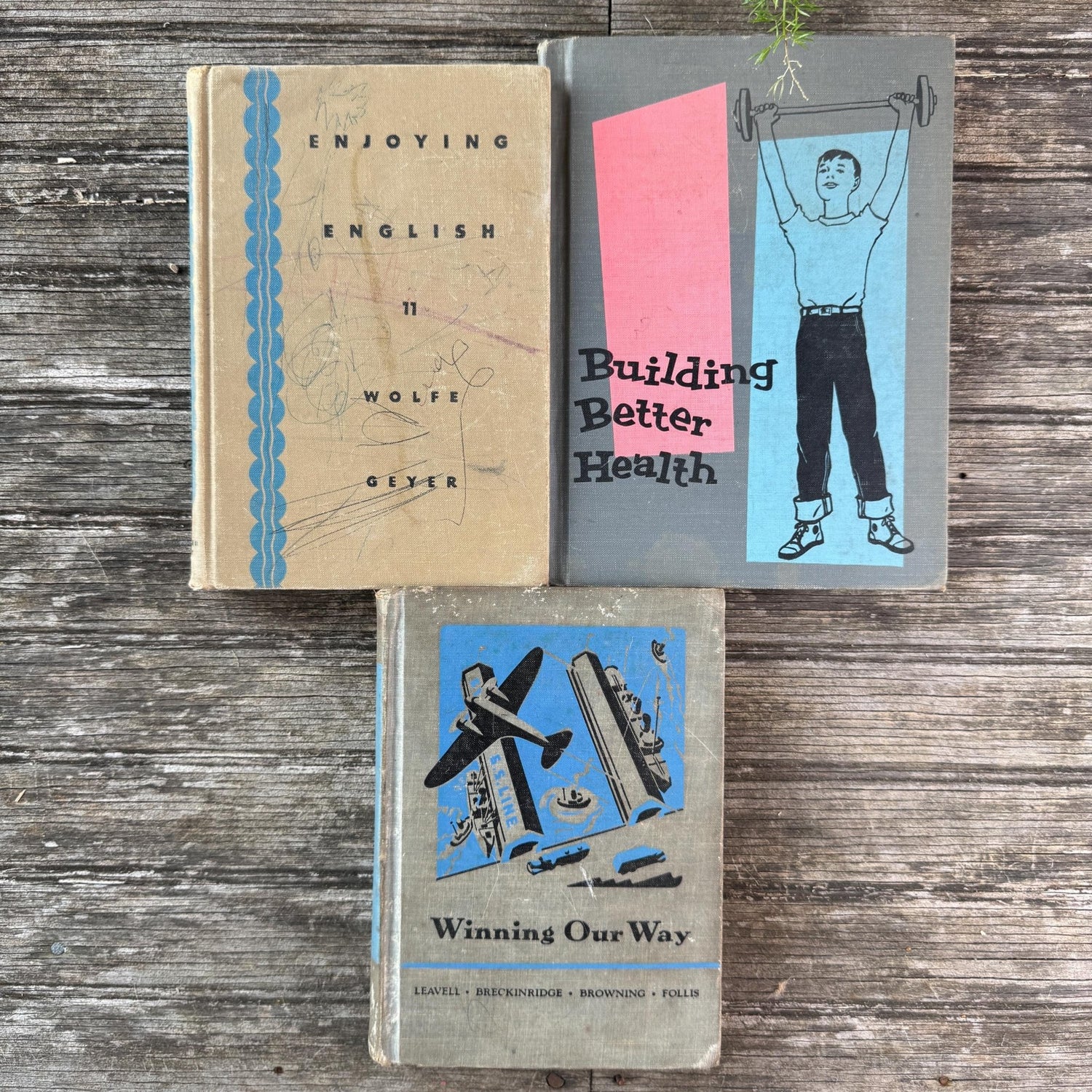 Vintage Fun Blue and Gray School Book Bundle - Pretty Old Books