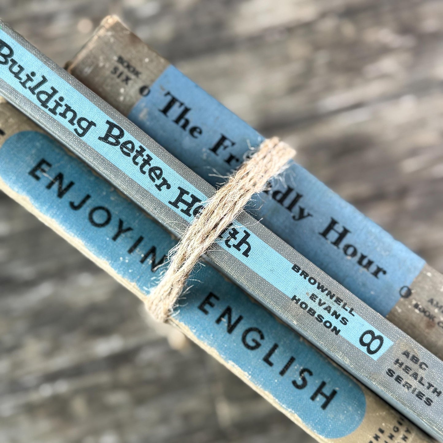 Vintage Fun Blue and Gray School Book Bundle - Pretty Old Books