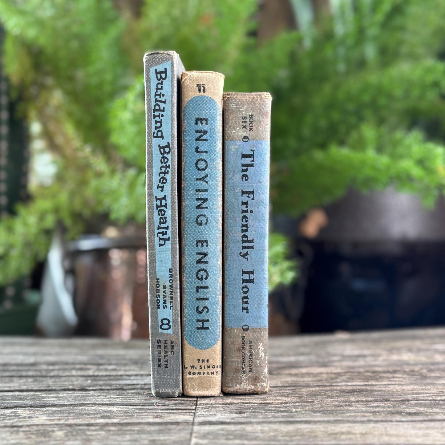 Vintage Fun Blue and Gray School Book Bundle - Pretty Old Books