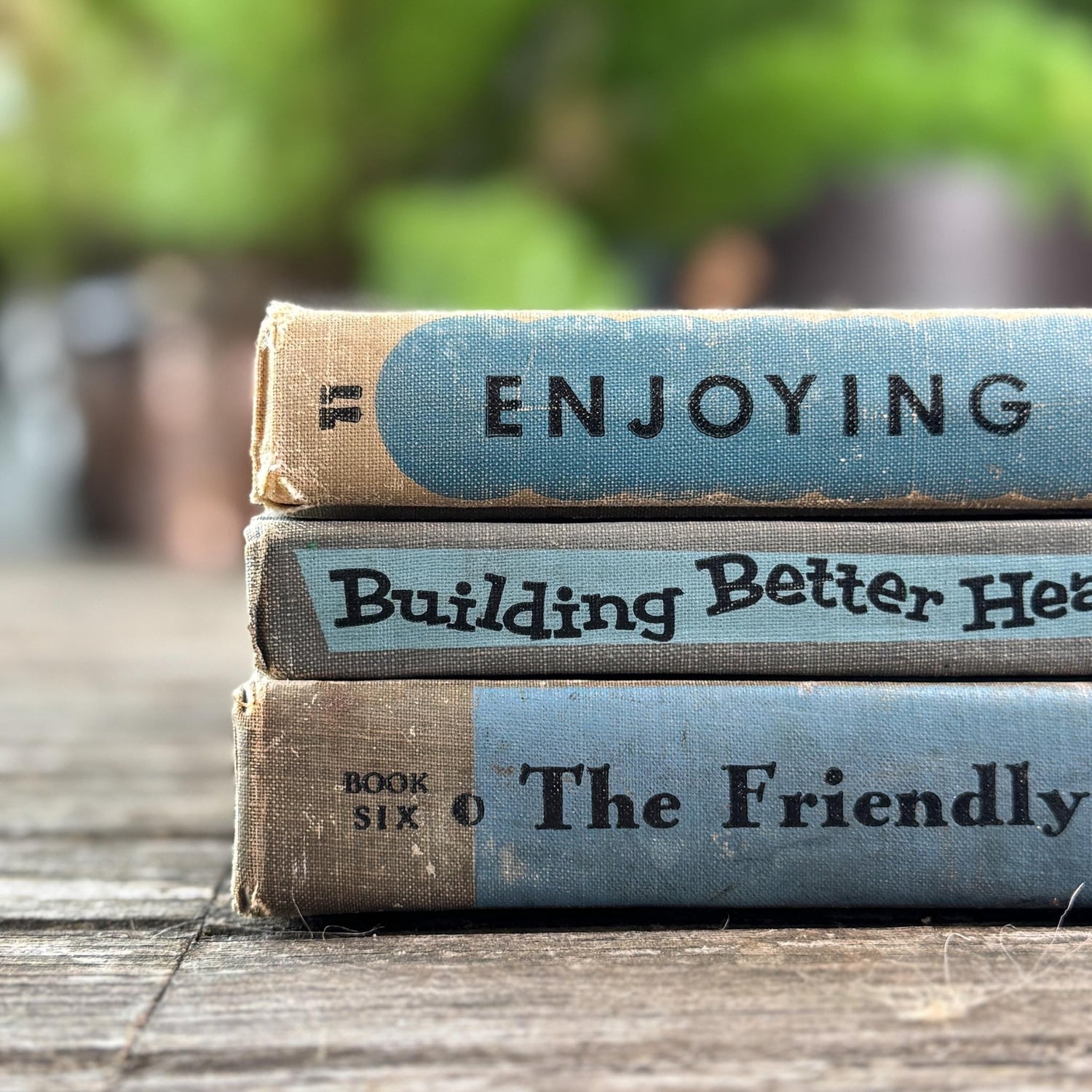 Vintage Fun Blue and Gray School Book Bundle - Pretty Old Books