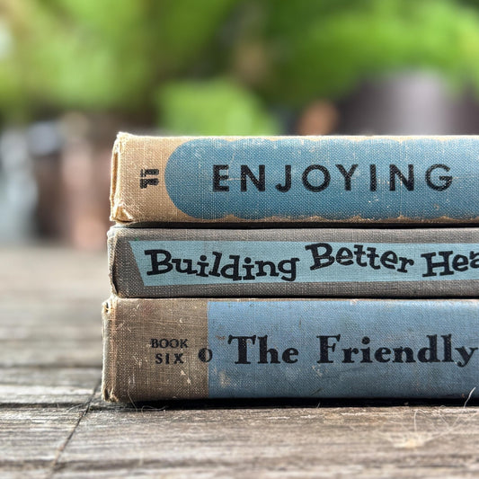 Vintage Fun Blue and Gray School Book Bundle - Pretty Old Books