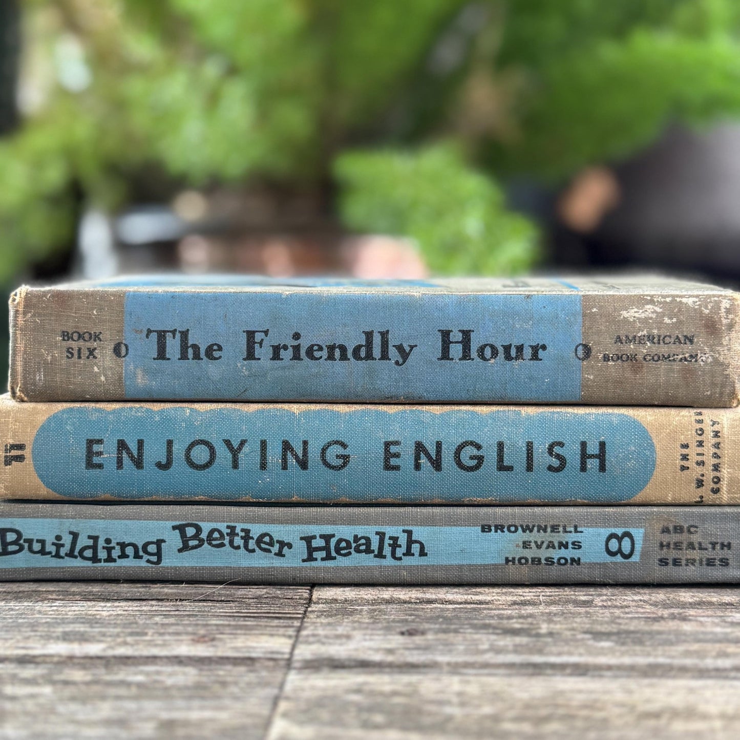 Vintage Fun Blue and Gray School Book Bundle - Pretty Old Books