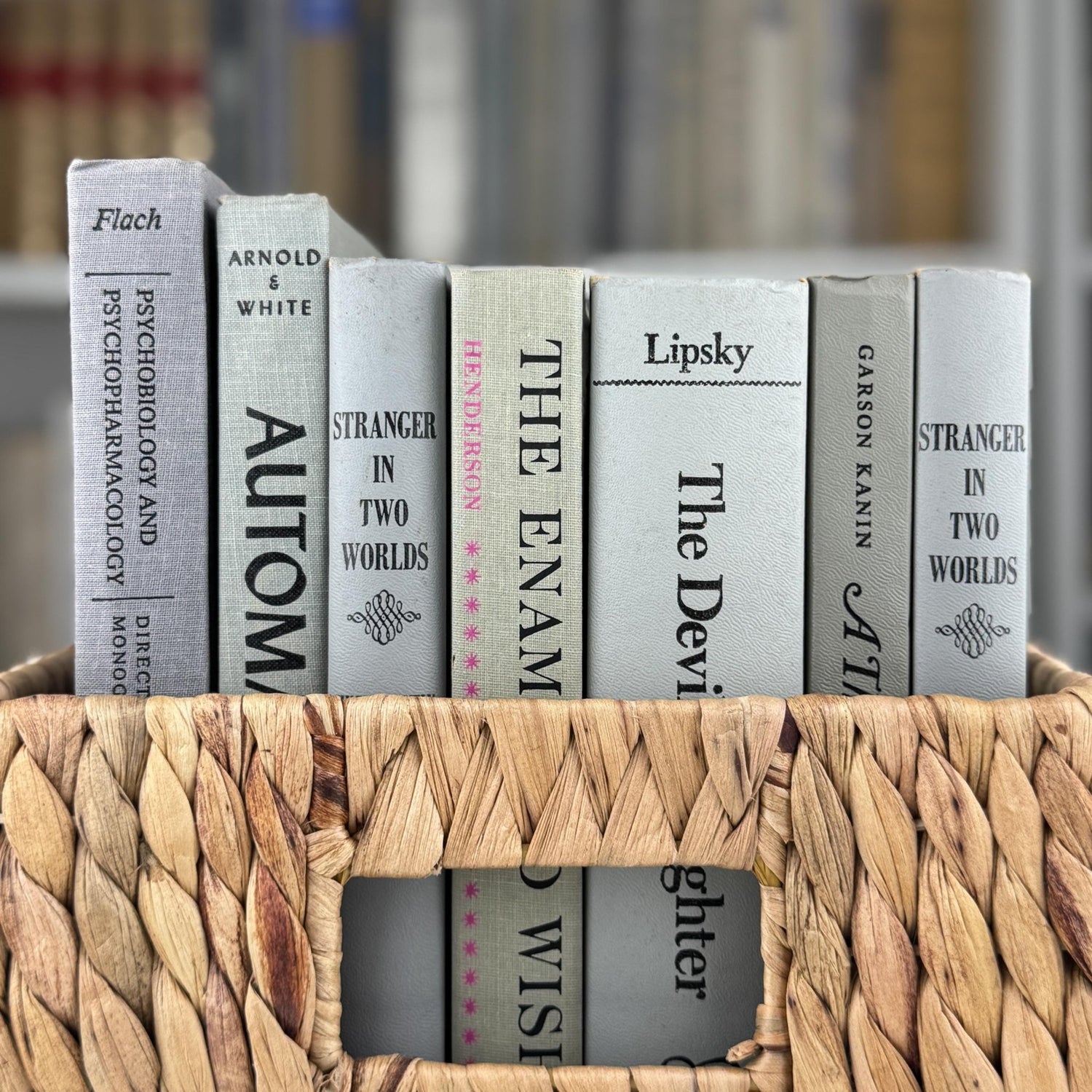 Vintage Gray and Black Book Set, Mid - Century Modern Books For Shelf Styling - Pretty Old Books