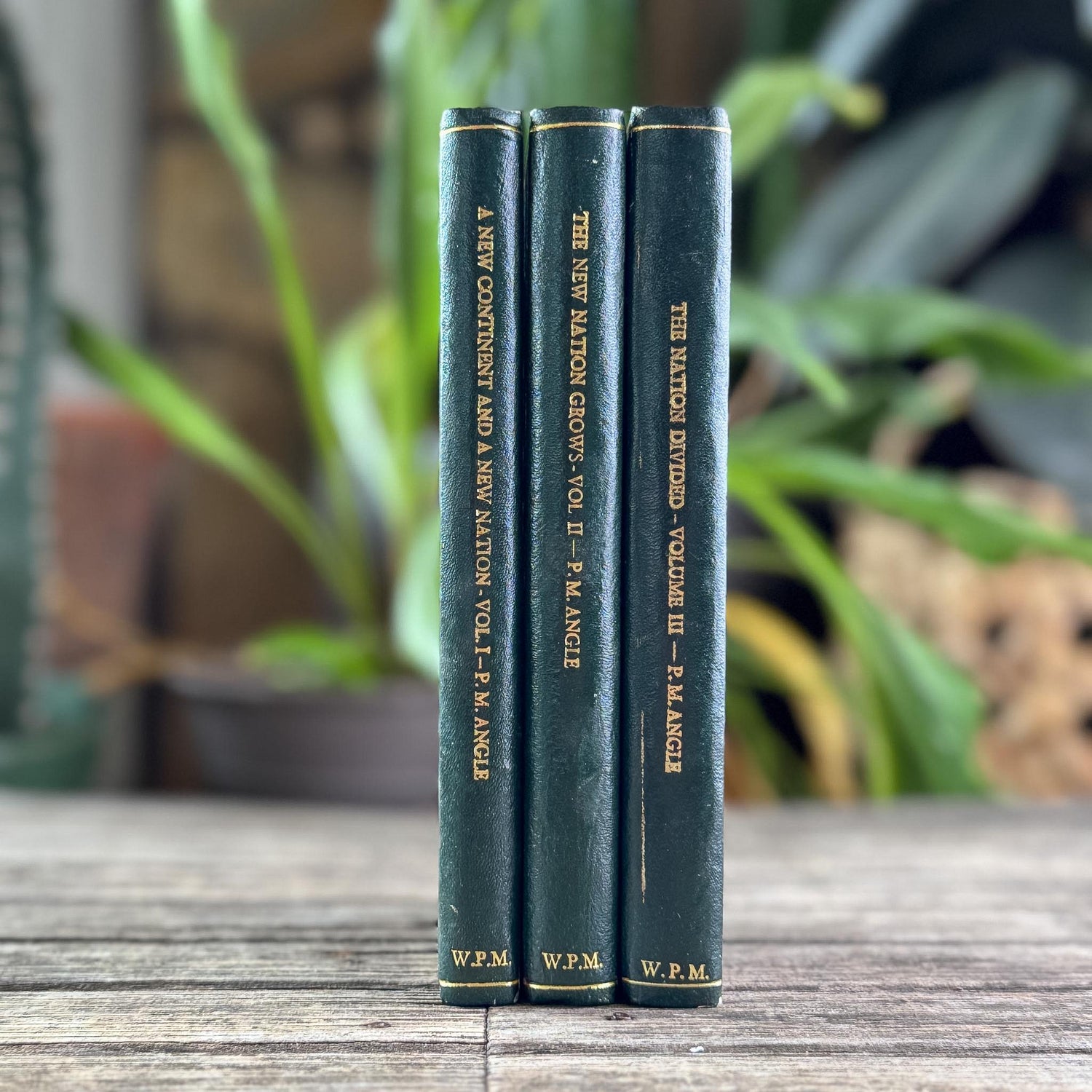 Vintage Green Leather Book Bundle, The American Reader, Paul M. Angle - Pretty Old Books