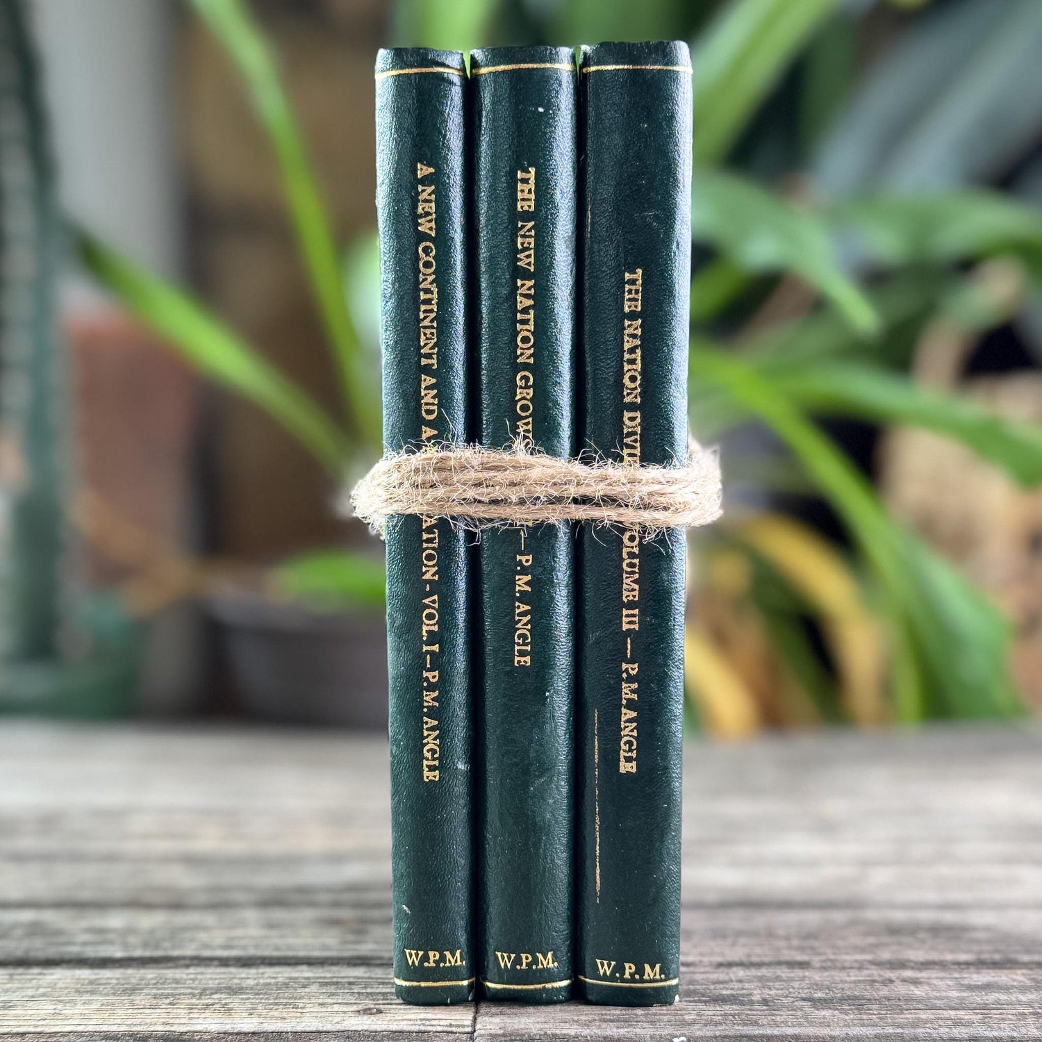 Vintage Green Leather Book Bundle, The American Reader, Paul M. Angle - Pretty Old Books