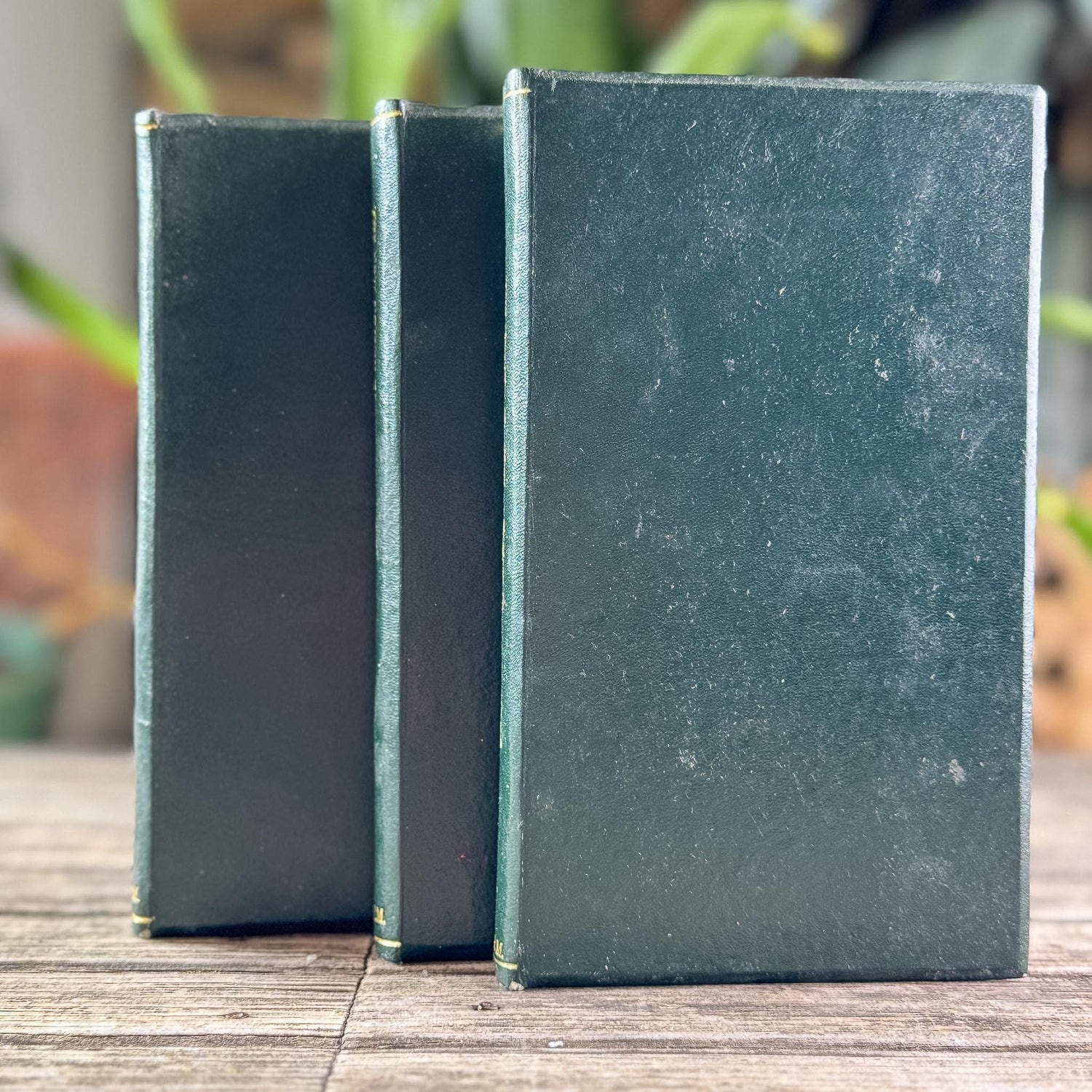 Vintage Green Leather Book Bundle, The American Reader, Paul M. Angle - Pretty Old Books