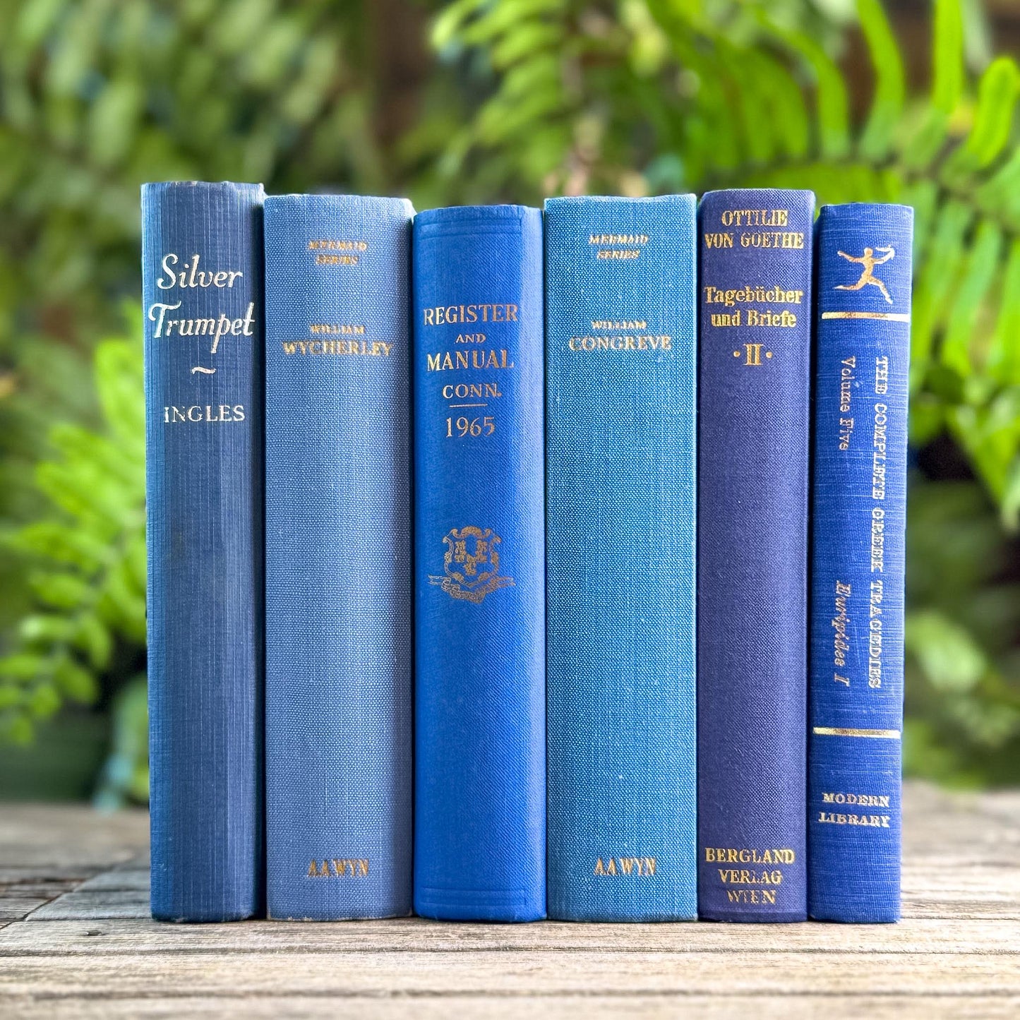 Vintage Indigo and Navy Blue Book Smaller Books - Pretty Old Books