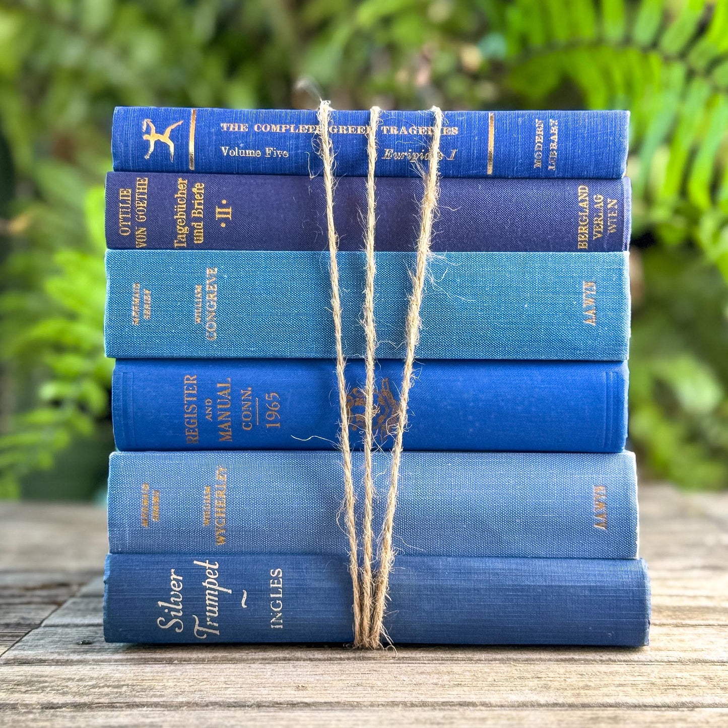 Vintage Indigo and Navy Blue Book Smaller Books - Pretty Old Books