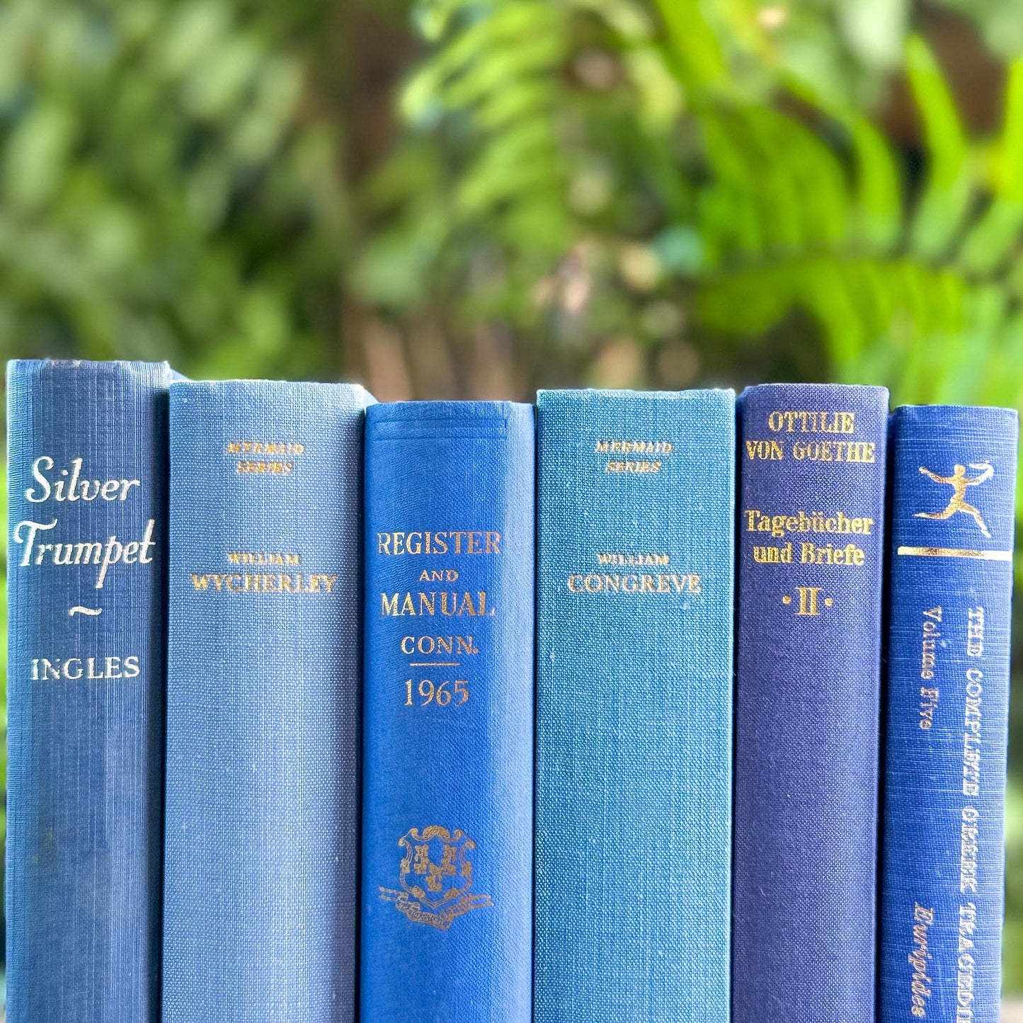 Vintage Indigo and Navy Blue Book Smaller Books - Pretty Old Books