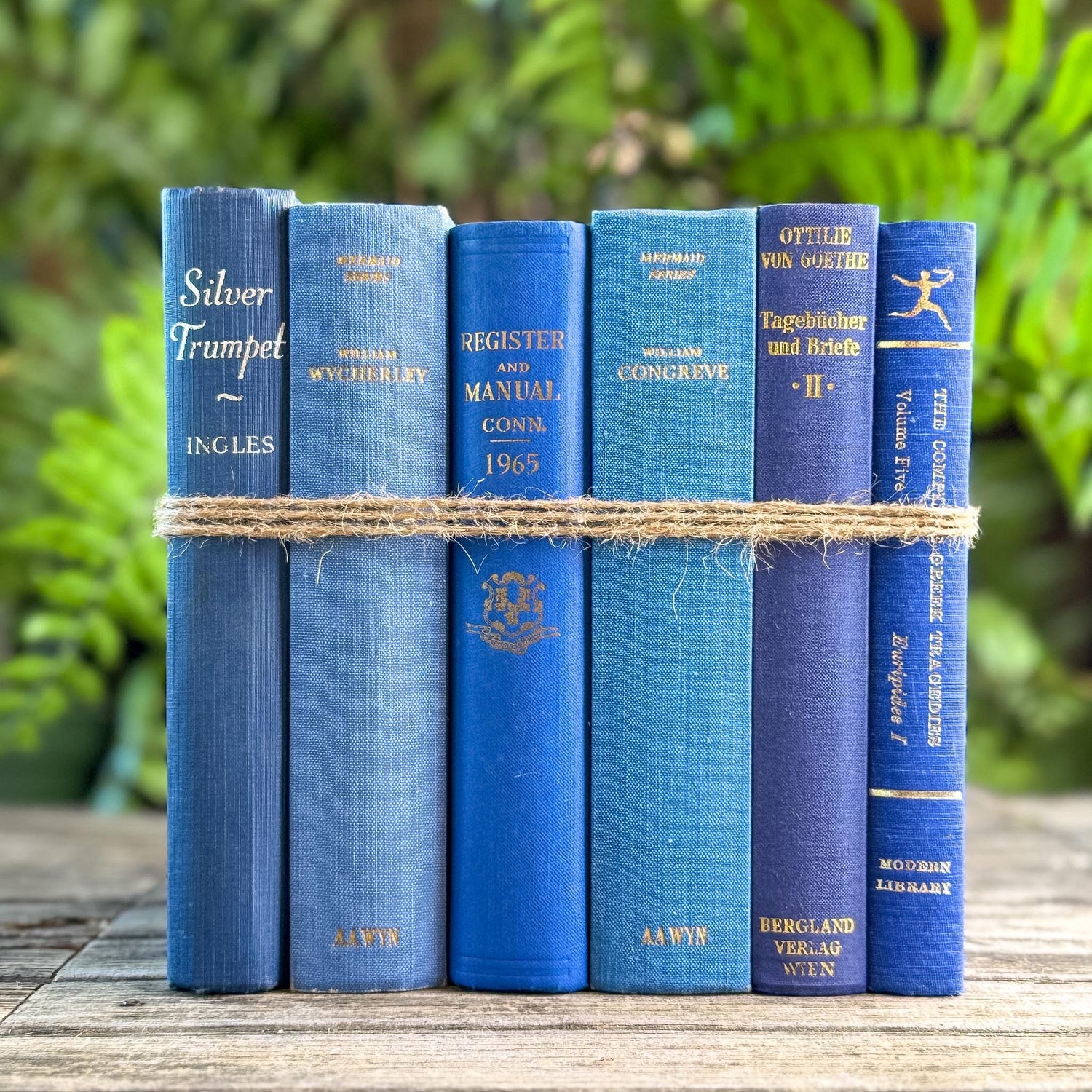 Vintage Indigo and Navy Blue Book Smaller Books - Pretty Old Books