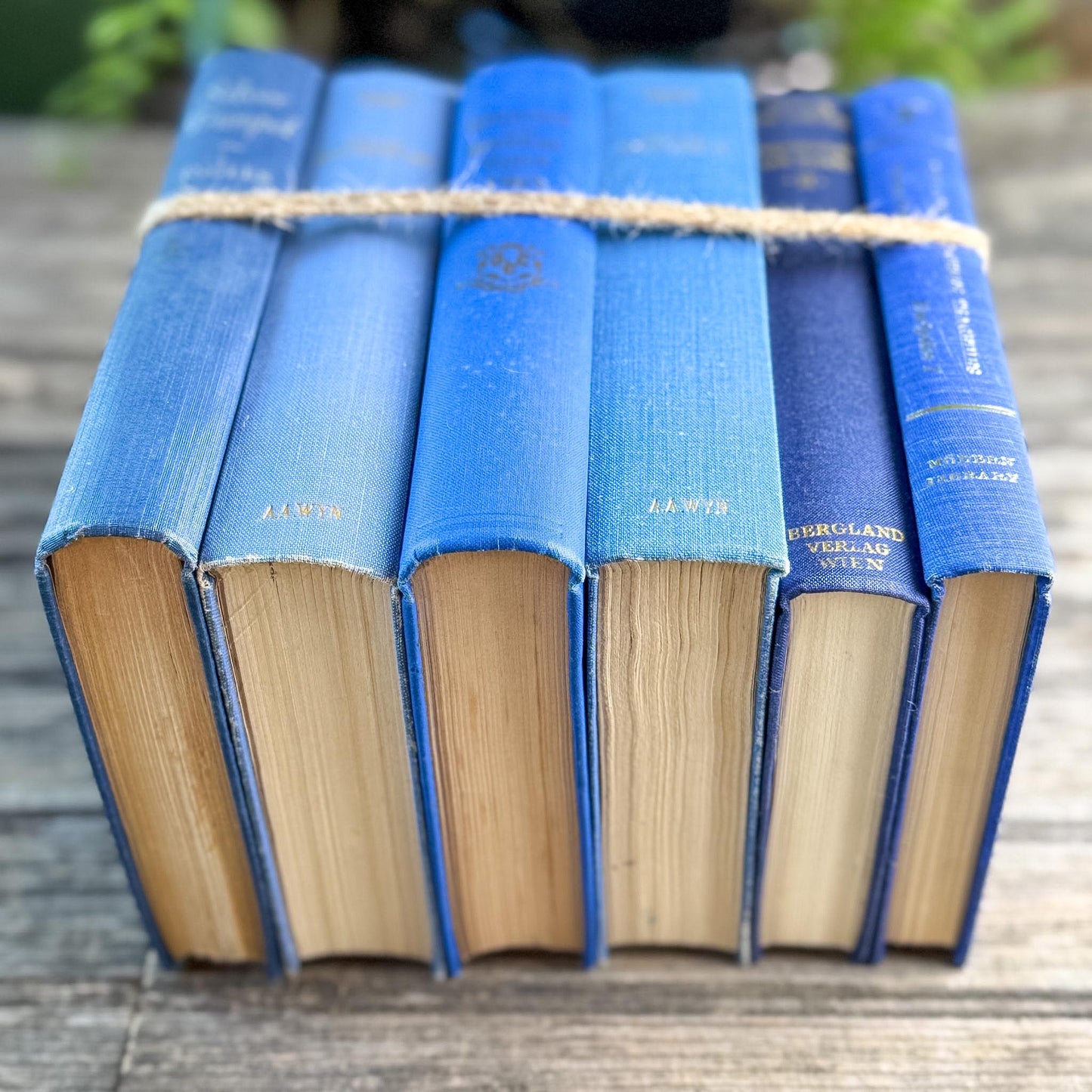 Vintage Indigo and Navy Blue Book Smaller Books - Pretty Old Books