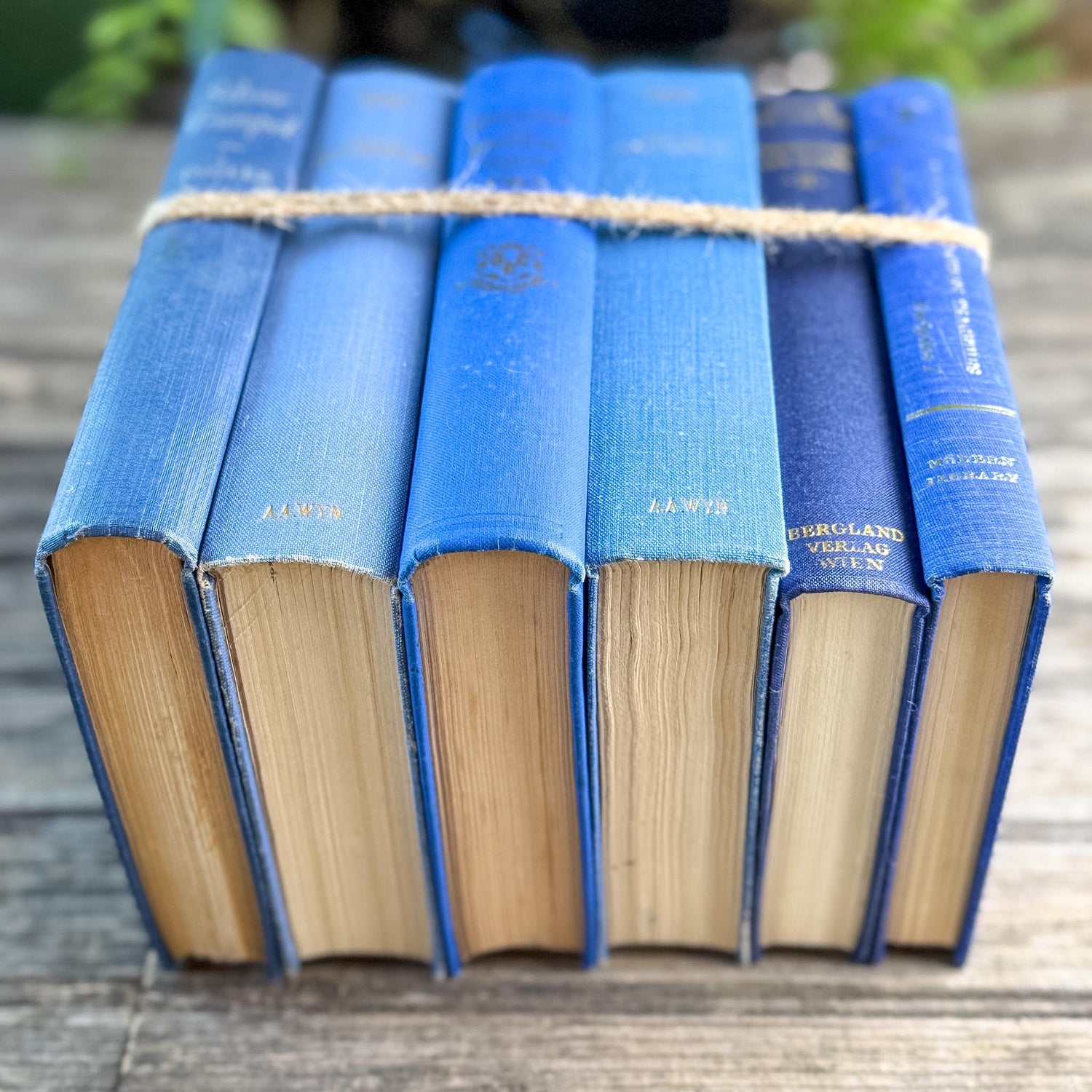 Vintage Indigo and Navy Blue Book Smaller Books - Pretty Old Books