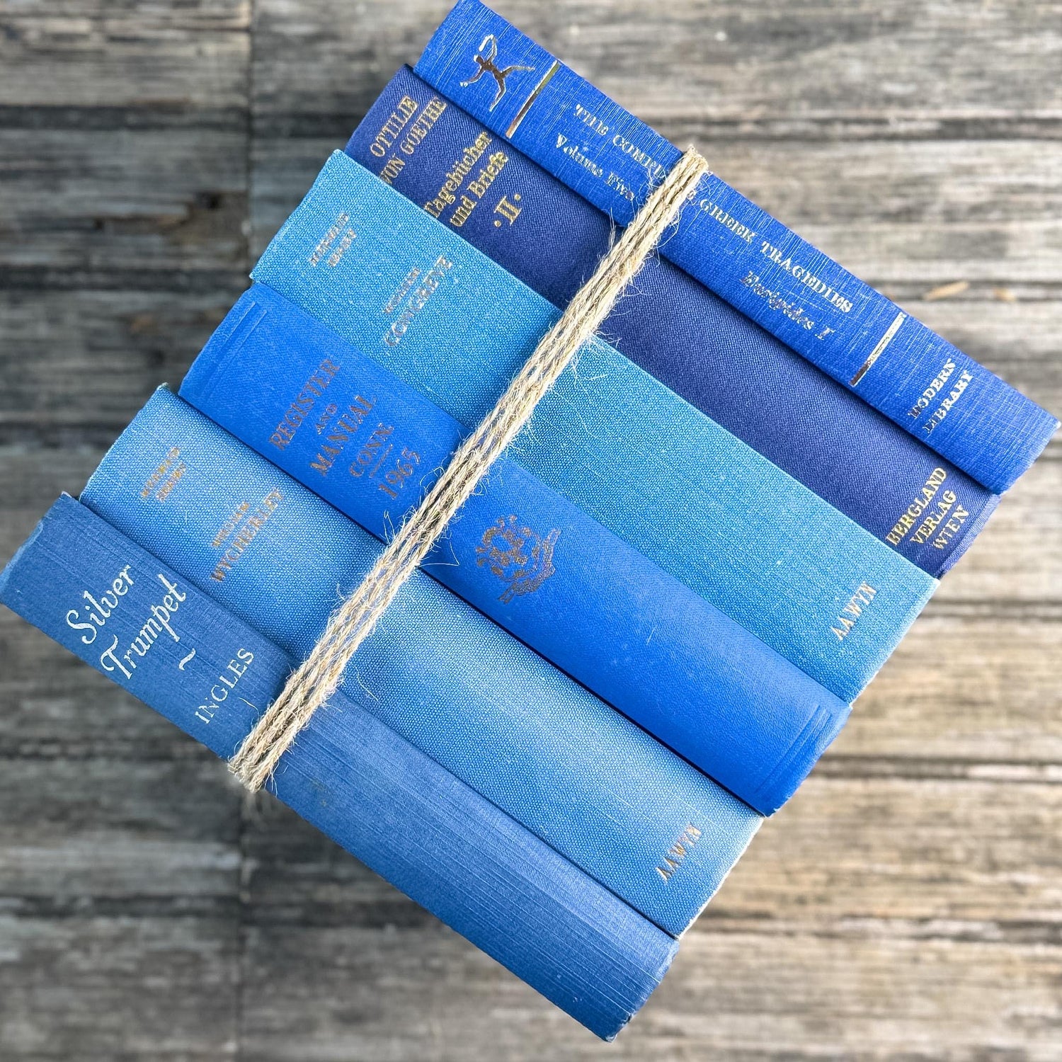 Vintage Indigo and Navy Blue Book Smaller Books - Pretty Old Books