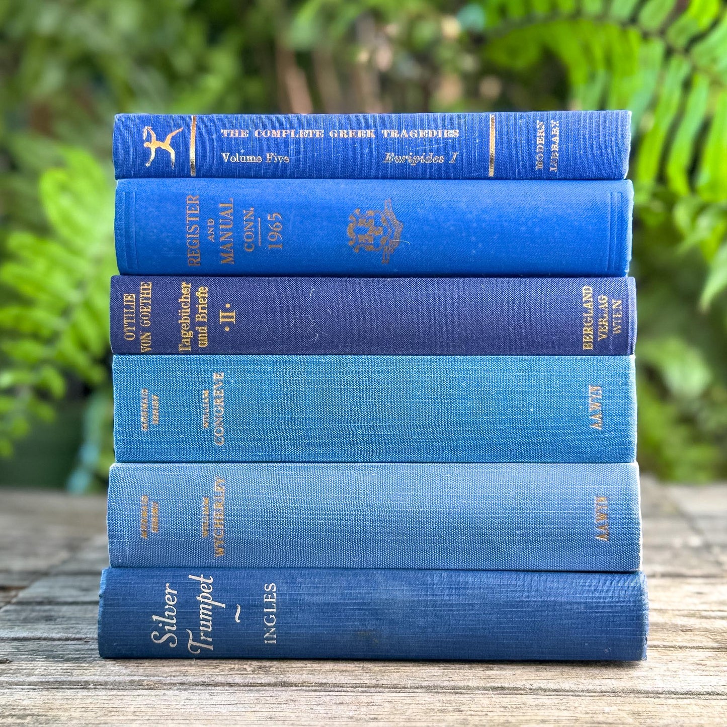 Vintage Indigo and Navy Blue Book Smaller Books - Pretty Old Books
