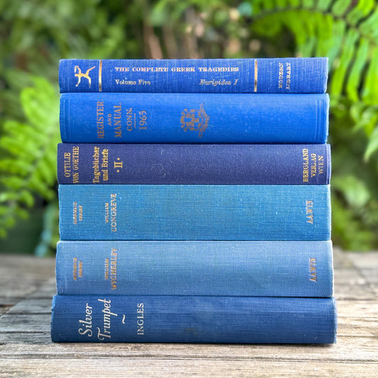 Vintage Indigo and Navy Blue Book Smaller Books - Pretty Old Books