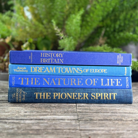 Vintage Indigo Blue Coffee Table Book Bundle - Pretty Old Books