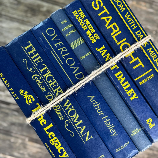 Vintage Indigo Navy Blue and Yellow Retro Book Set for Shelf Styling - Pretty Old Books