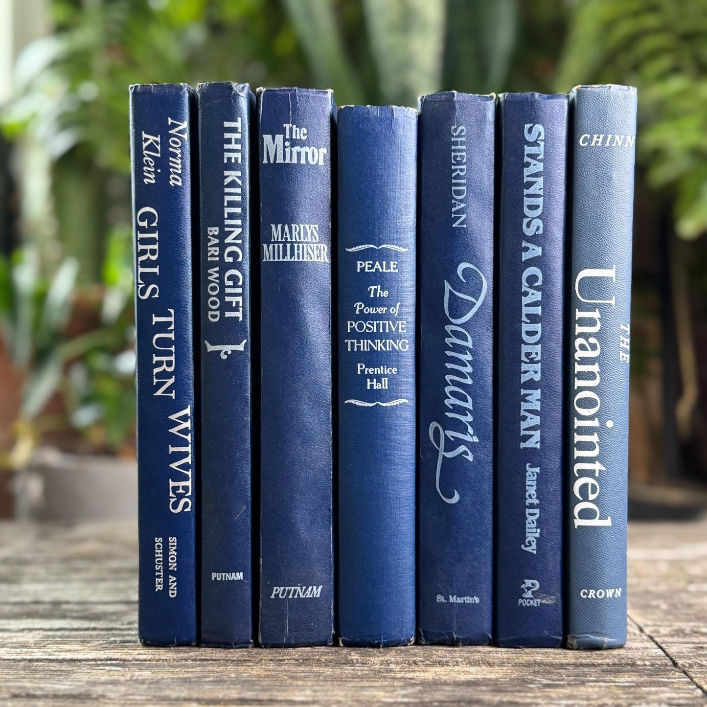 Vintage Indigo Navy Blue Retro Book Set for Shelf Styling - Pretty Old Books