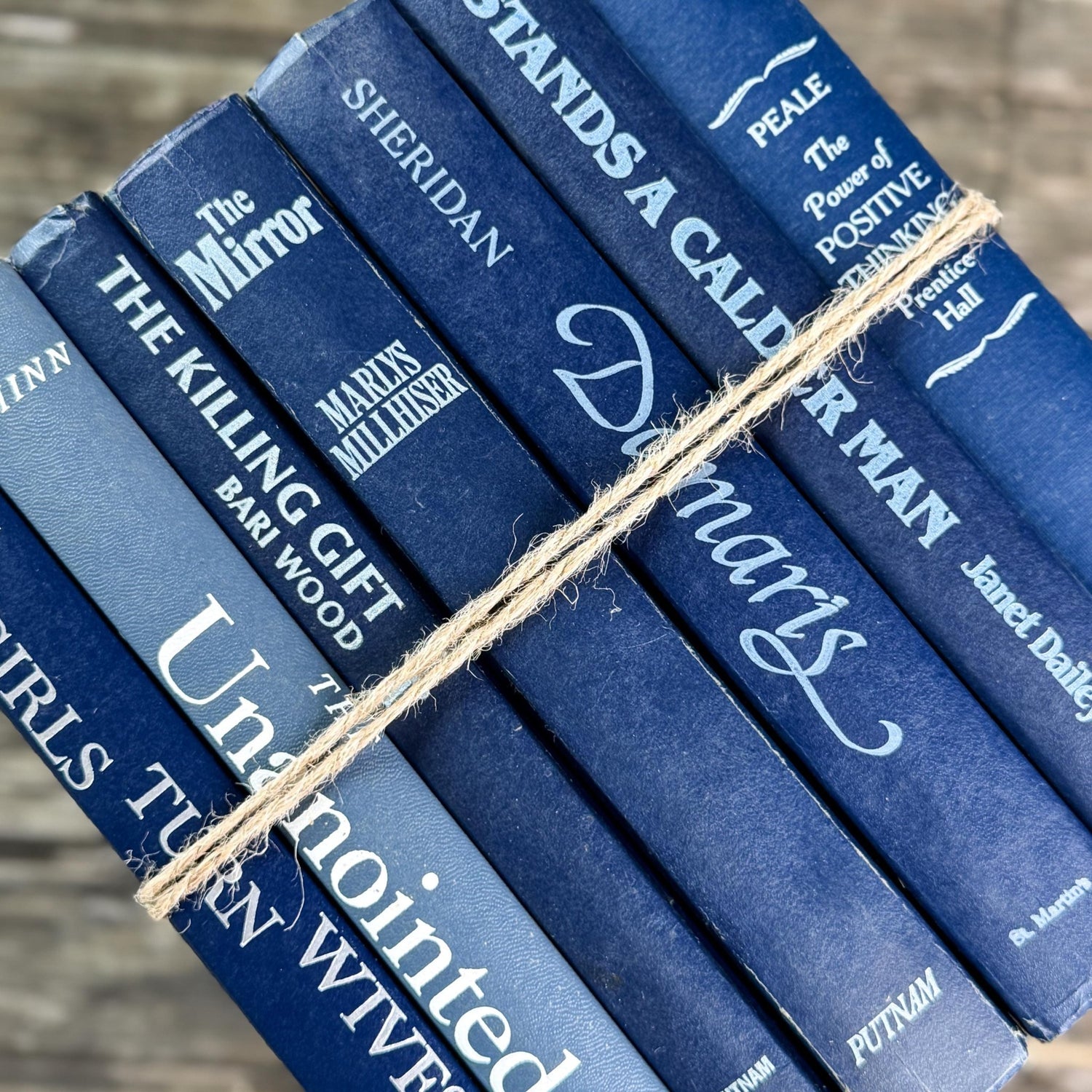 Vintage Indigo Navy Blue Retro Book Set for Shelf Styling - Pretty Old Books