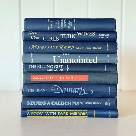 Vintage Indigo Navy Blue Retro Book Set for Shelf Styling - Pretty Old Books
