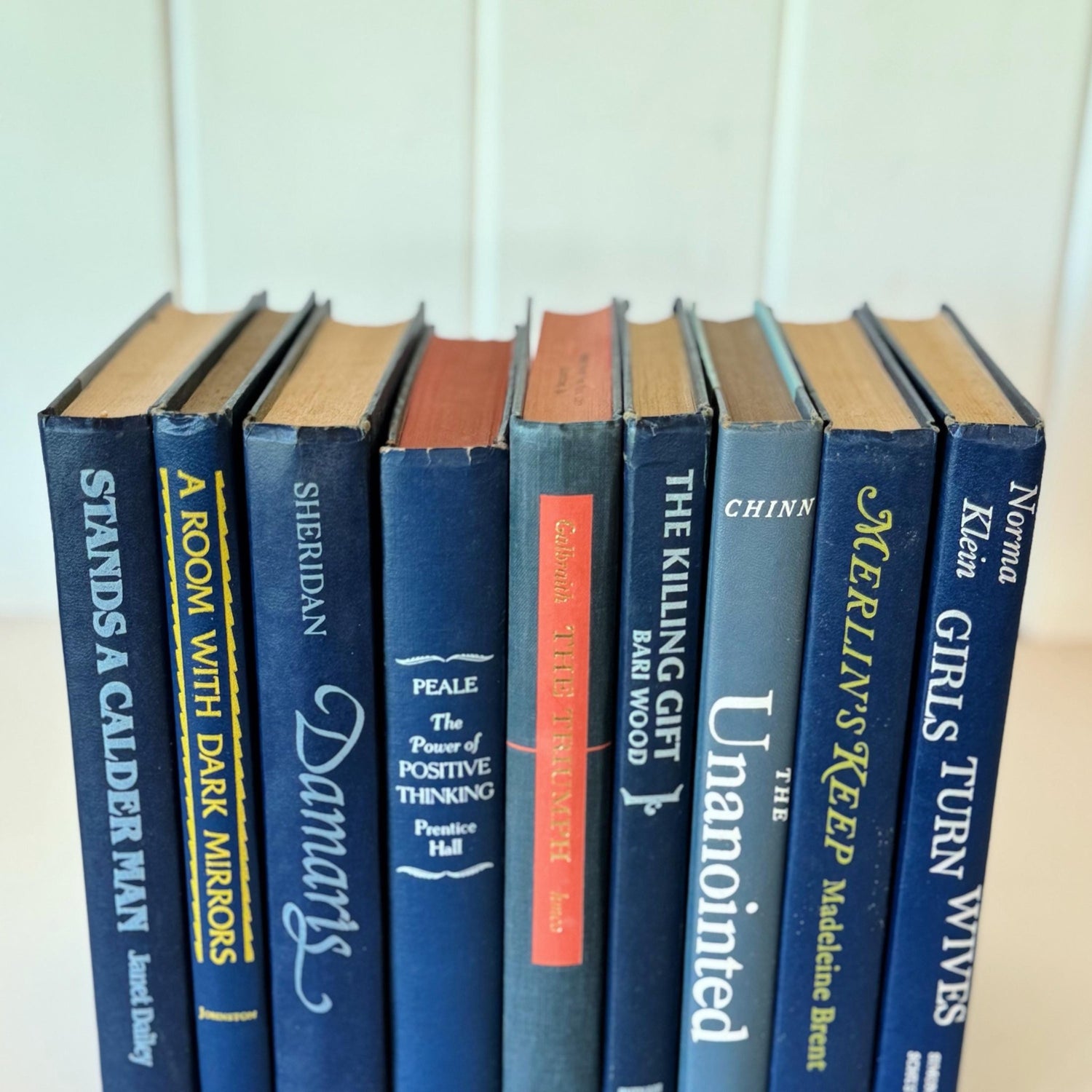 Vintage Indigo Navy Blue Retro Book Set for Shelf Styling - Pretty Old Books