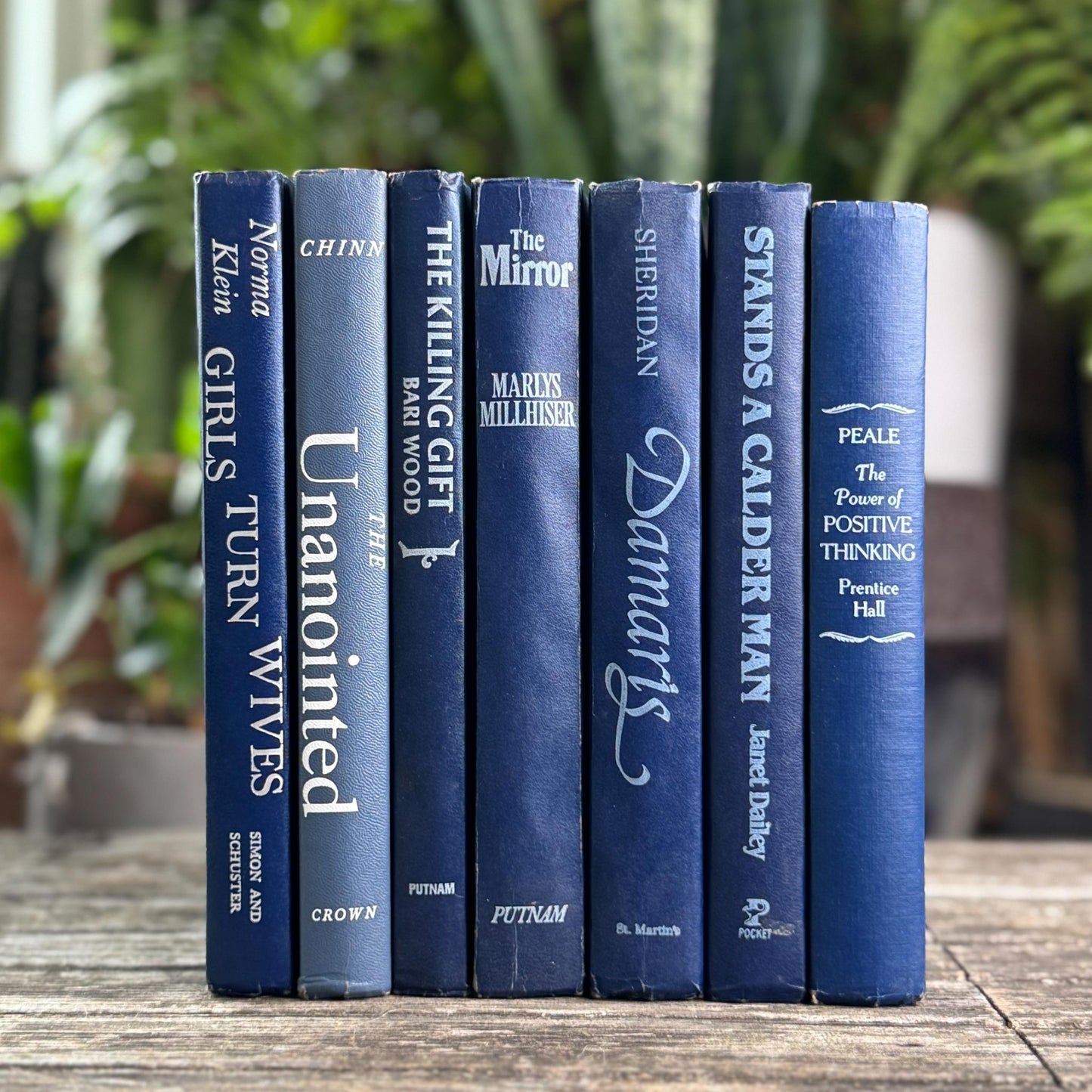 Vintage Indigo Navy Blue Retro Book Set for Shelf Styling - Pretty Old Books