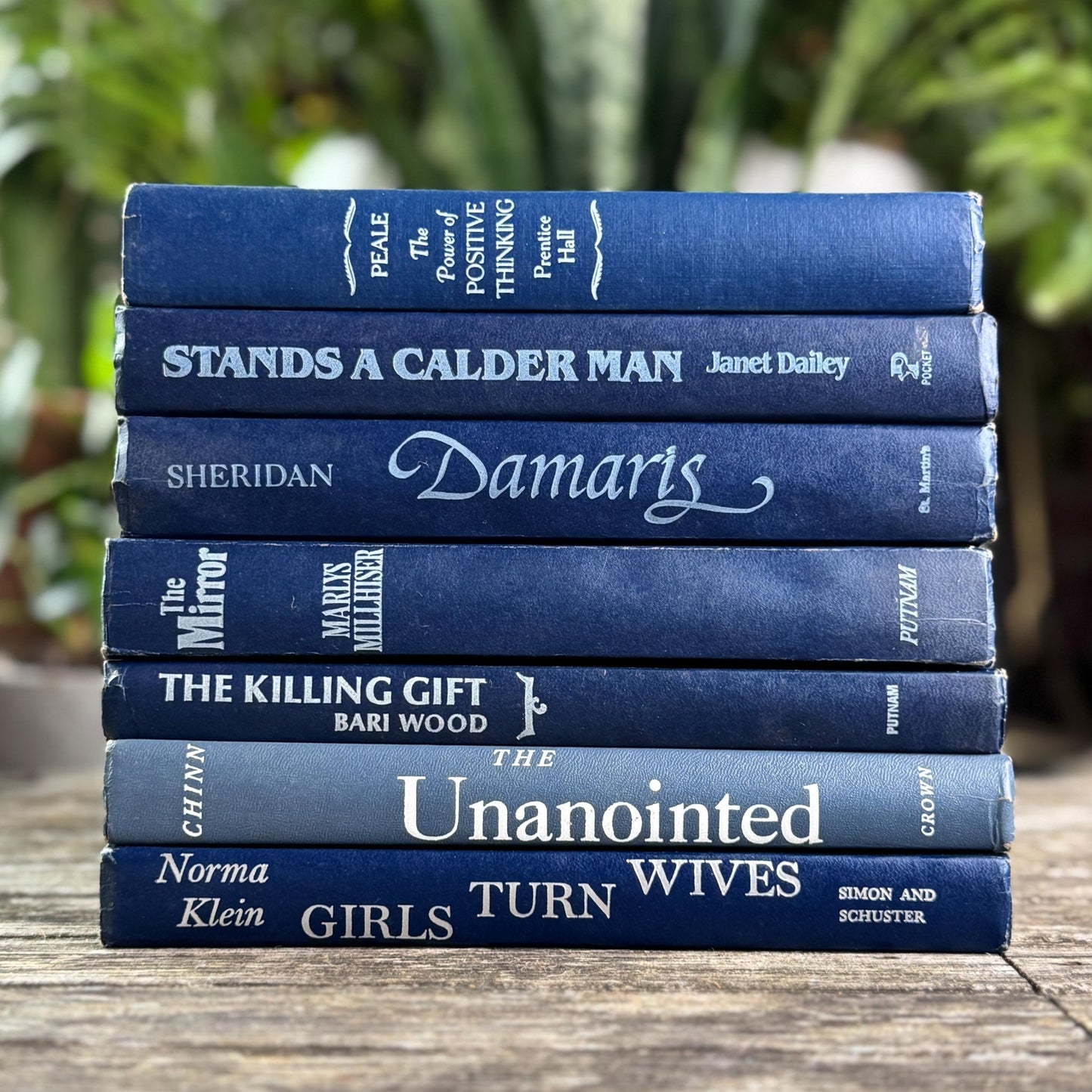 Vintage Indigo Navy Blue Retro Book Set for Shelf Styling - Pretty Old Books