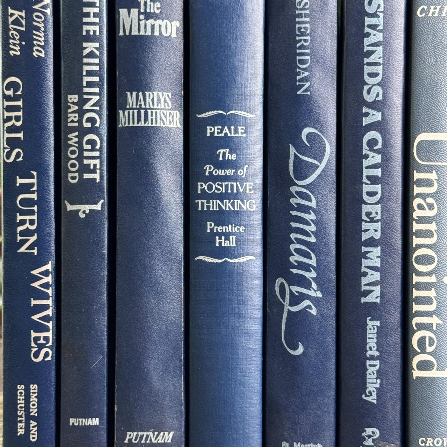 Vintage Indigo Navy Blue Retro Book Set for Shelf Styling - Pretty Old Books