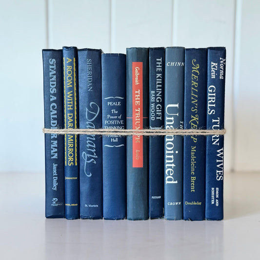 Vintage Indigo Navy Blue Retro Book Set for Shelf Styling - Pretty Old Books